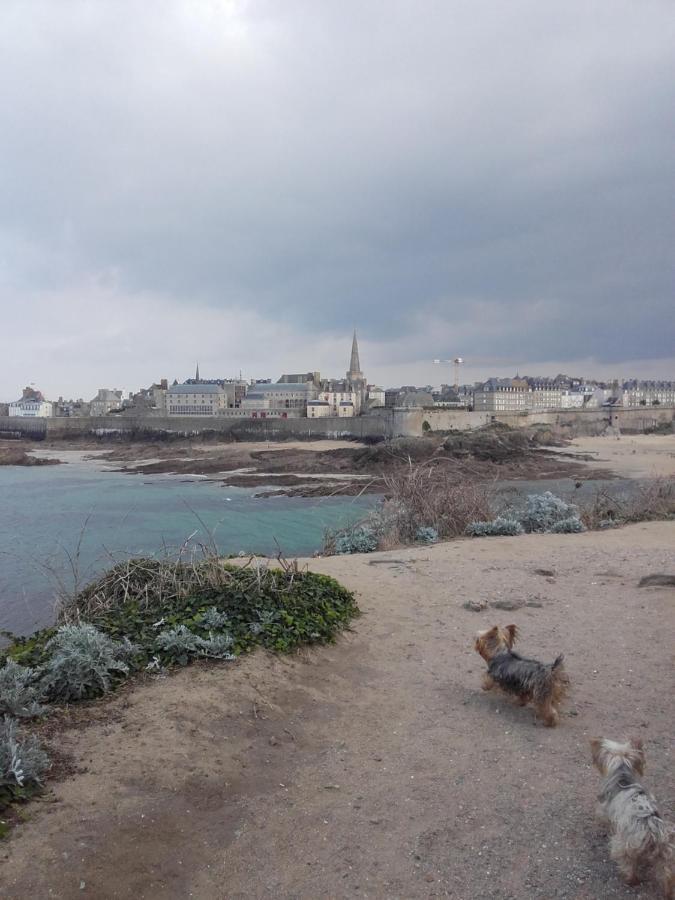 Les Bois Flottes Daire Saint-Malo Dış mekan fotoğraf